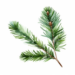 Christmas tree green fir branch watercolor paint on white background for invitation greeting card design, generated AI