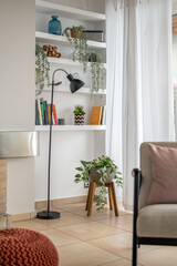 Bookshelves with houseplants and accessories in living room