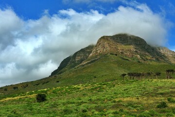 Fototapeta premium Mountain in Observatory, just a few minutes away from the main University of Cape Town campus.