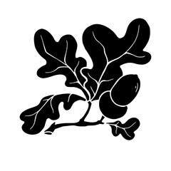 Silhouette of an oak branch with acorns and leaves. Vector graphics.