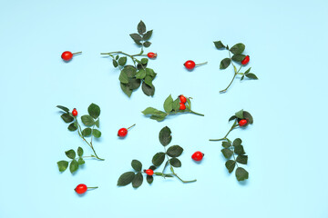 Fresh rose hip berries with leaves on blue background