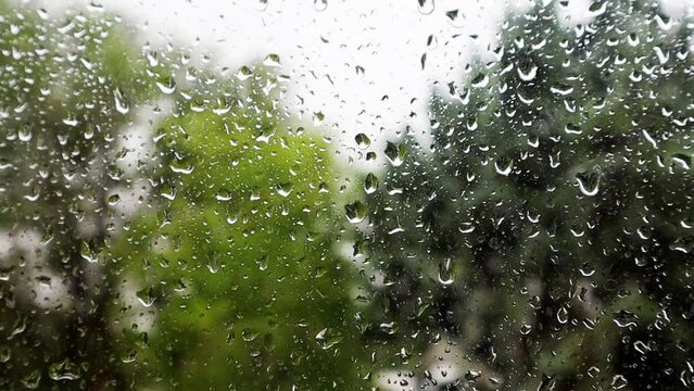 Abstract natural background with green trees outside a wet window with raindrops running down a glass in rainy day in spring or summer rain season. Deciduous trees in a hurricane, stormy gloomy day.