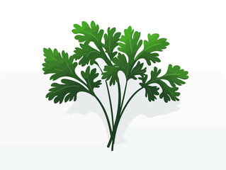 Fototapeta premium Doodle Parsley sprig, cartoon sticker, sketch, vector, Illustration, minimalistic