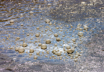 Bubbles on Scum, Thermal Area Spring
