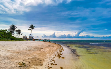 Tropical mexican beach clear turquoise water Playa del Carmen Mexico.