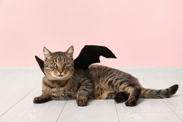 Cute cat with bat wings near pink wall