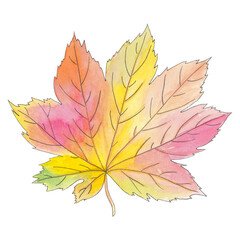 Watercolor autumn maple leaf isolated on white background. Beautiful colorful botanical illustration. Art for design card, logo, wedding invitation, patterns, wallpaper.