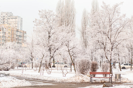 The city after a snowfall. City park with trees and paths in the snow in winter