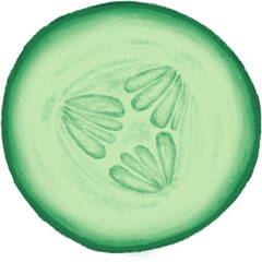 제목 없는 아트워크cucumber, cucumber cross-section, cucumber illustration, cucumber illustration, vegetable, vegetables, vegetable illustration, cucumber illustration