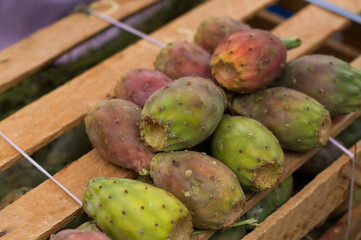 Photograph of a group of prickly pears in a local market in Peru. Concept of fruits and food.