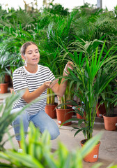 Happy woman chooses and buys areca flower in flower shop