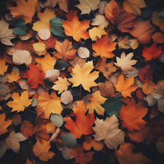 Autumn leaves on the ground top view