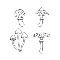 Set of mushrooms. Hand drawn vector illustration. For coloring, cards, printing, packaging, invitations, business cards, advertising