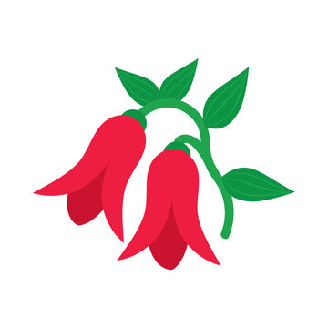 red copihues illustration