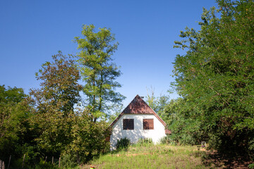 Obraz premium Selective blur on an old Residential house, a chalet building, called vikendica, closed and abandoned, in decay, overgrown by vegetation in the Balkans in Devojacki Bunar.