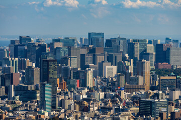 Fototapeta premium High Dense houses and buildings at Greater Tokyo area at daytime.