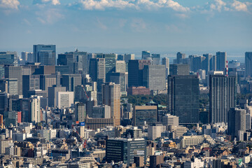 High Dense houses and buildings at Greater Tokyo area at daytime.
