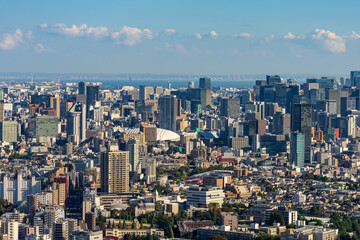 Obraz premium High Dense houses and buildings at Greater Tokyo area at daytime.