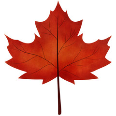 red maple leaf