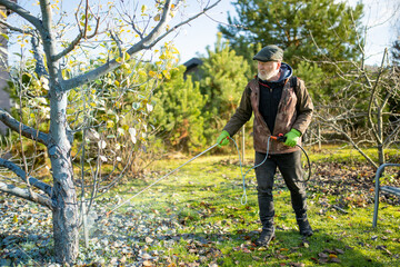 Middle age gardener with a mist fogger sprayer sprays fungicide and pesticide on bushes and trees. Protection of cultivated plants from insects and fungal infections.