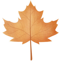 Maple Leaf