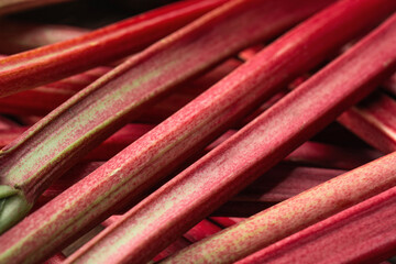 Fresh ripe rhubarb stalks as background, closeup