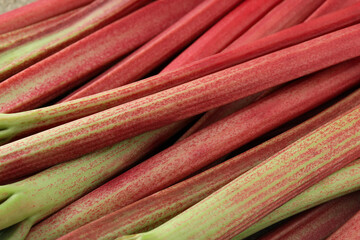 Fresh ripe rhubarb stalks as background, closeup