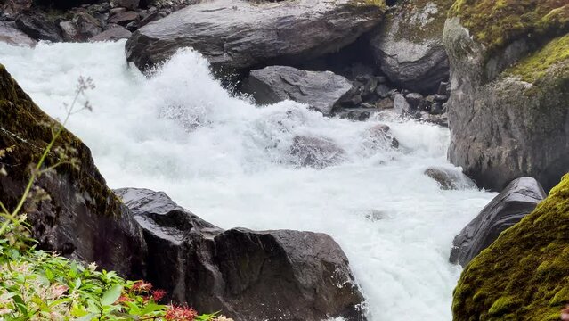 Powerful mountain river slow mo running through the big boulders down foggy rain forest valley in Makalu Barun National Park near Chatra Khola settlement. Mera peak climbing route, Himalayas, Nepal.