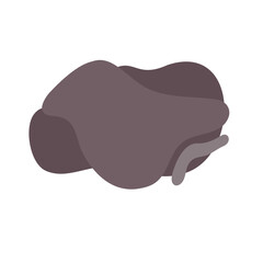 Organic Shape Vector 