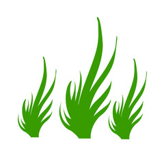 grass savanna vector 