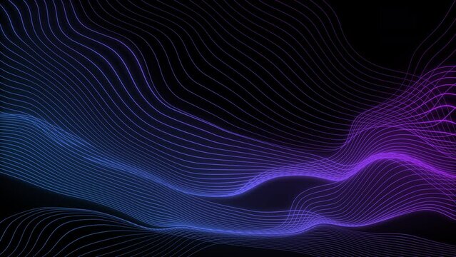 Abstract neon blue and purple line wave flowing on black background. Futuristic technology concept. Seamless looping animation