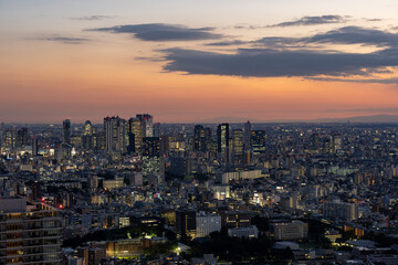 Tokyo Shinjuku area high rise buildings at golden hour.