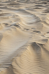 pequeñas dunas en la playa