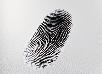 Fingerprint on white background.