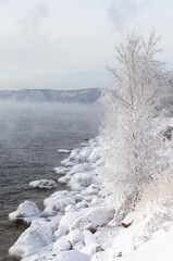 Beautiful winter landscape of Baikal Lake in cold cloudy weather. The trees on the banks of the source of the Angara are covered with white frost, the mountains in the distance are foggy