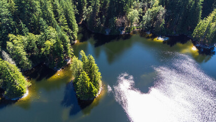 Lake in the forest. A small island covered in trees. Taken at Rice Lake