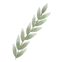 Branch of mistletoe plant