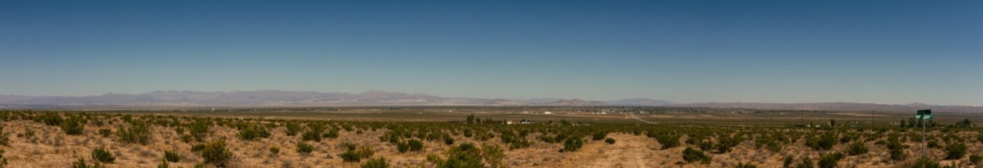 Panorama shot of desert bush with mountains and city in background in California, usa