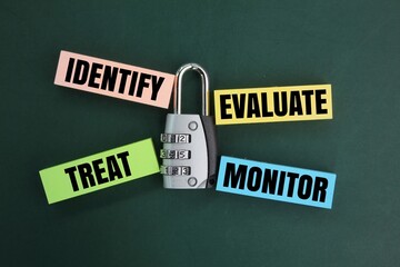 four Business Security Management namely identify, evaluate, treat and monitor