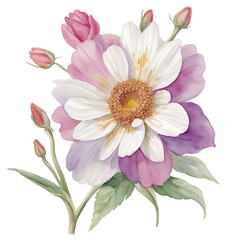 Obraz premium Watercolor vintage flower clip art isolated