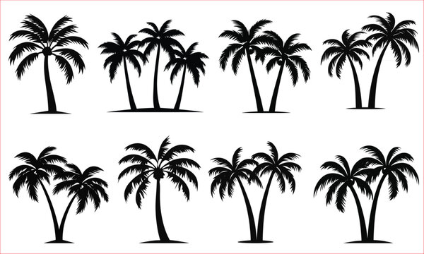 Palm trees silhouette, Tropical palm trees silhouettes, set tropical palm trees with leaves