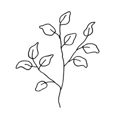 branch of leaf element