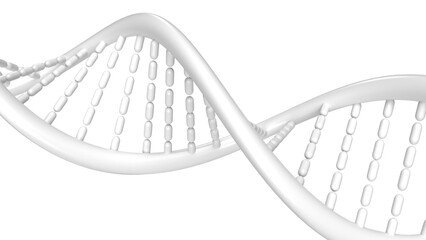 The DNA image for sci or education concept 3d rendering.
