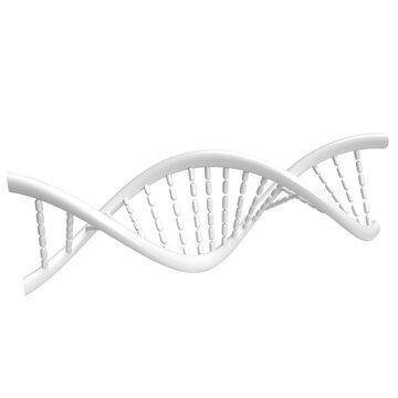 The DNA image for sci or education concept 3d rendering.
