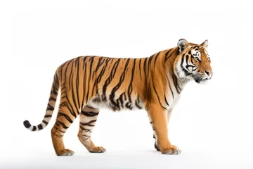Rolgordijnen Ussuri tiger isolated on a white background © Veniamin Kraskov