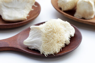 Fresh lion's mane mushroom. (Yamabushitake Mushroom)