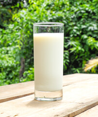 Glass of milk on a wooden floor green nature background.