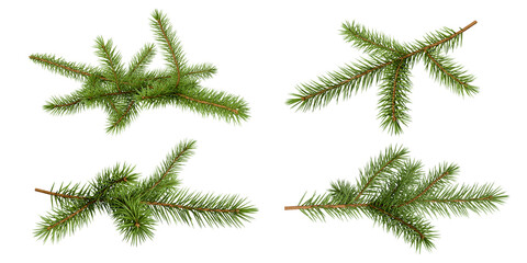 Christmas branch of fir tree isolated on white © Buffstock