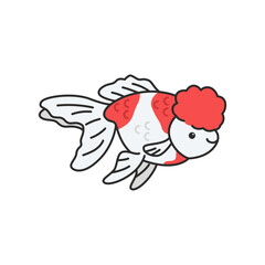 Vector illustration of fantail goldfish. Isolated on a white background.