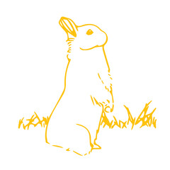 Fototapeta premium Digital png illustration of yellow standing bunny on transparent background